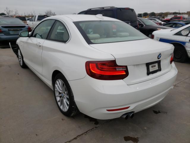 2015 BMW 228 I WBA1F5C50FV257174