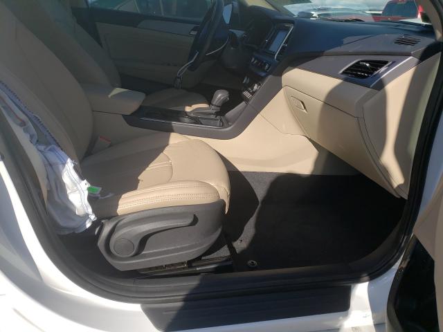2019 HYUNDAI SONATA LIM 5NPE34AF6KH805711