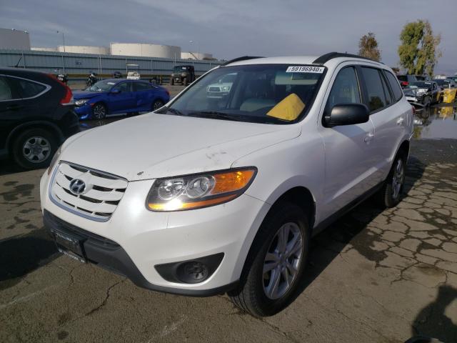 2010 HYUNDAI SANTA FE G 5NMSGDAB0AH413761