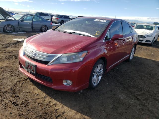 2010 LEXUS HS 250H JTHBB1BA1A2035312