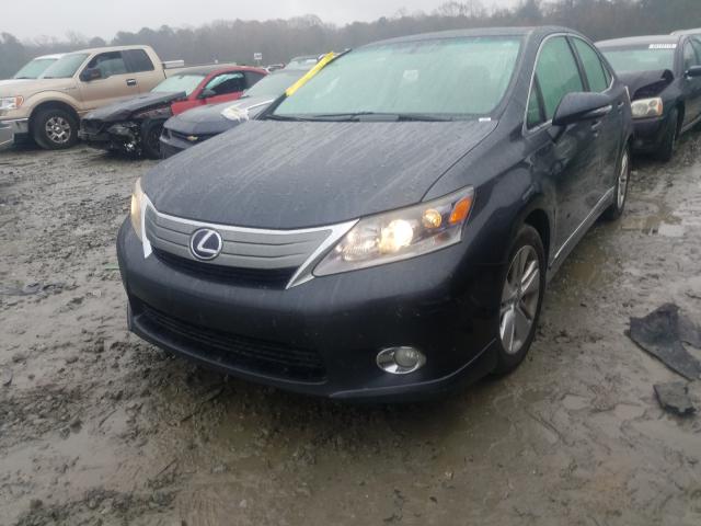 2010 LEXUS HS 250H JTHBB1BA1A2001581