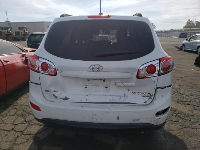 2010 HYUNDAI SANTA FE G 5NMSGDAB0AH413761