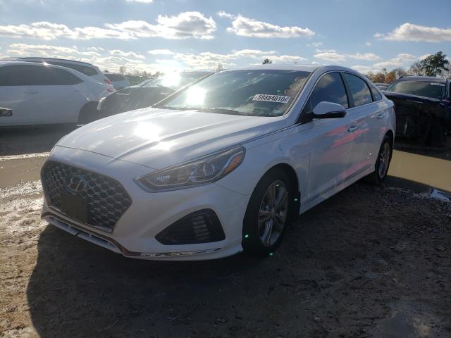 2019 HYUNDAI SONATA LIM 5NPE34AF6KH805711