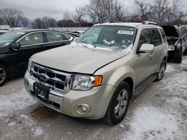 2011 FORD ESCAPE 1FMCU9EGXBKB72177