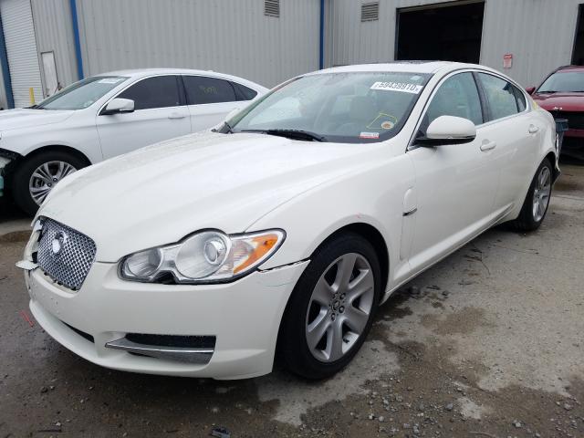 2010 JAGUAR XF LUXURY SAJWA0FA3AHR68377