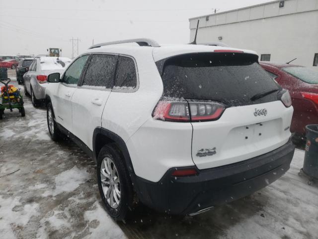 2019 JEEP CHEROKEE L 1C4PJMCX0KD355676