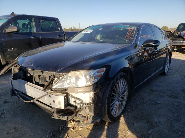 2010 LEXUS LS 460 JTHBL5EF6A5095113