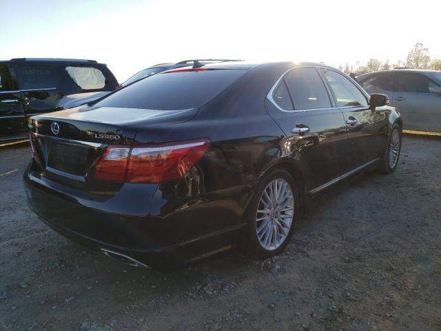 2010 LEXUS LS 460 JTHBL5EF6A5095113