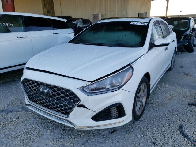 2019 HYUNDAI SONATA LIM 5NPE34AF8KH741607