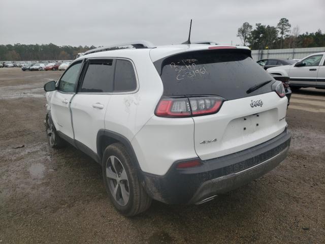 2019 JEEP CHEROKEE L 1C4PJMDX7KD269196