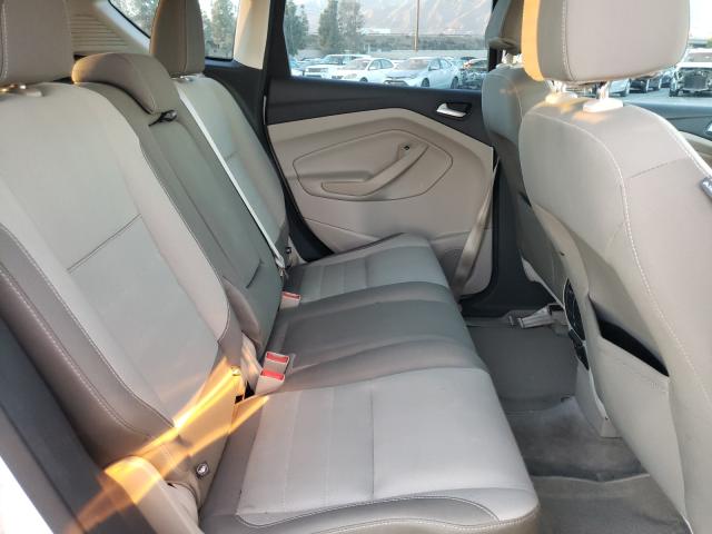 2013 FORD C-MAX SE 1FADP5AU3DL506556