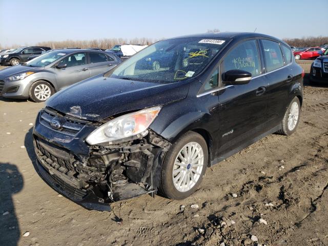 2013 FORD C-MAX SEL 1FADP5BUXDL521117