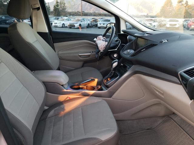 2013 FORD C-MAX SE 1FADP5AU3DL506556