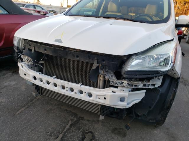 2014 FORD ESCAPE 1FMCU0JX9EUA97269