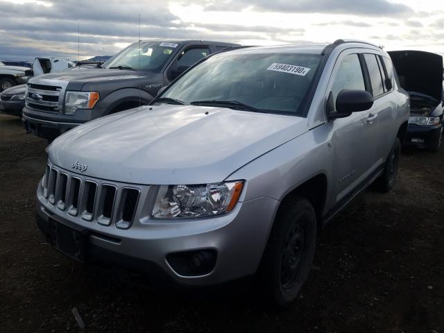 2011 JEEP COMPASS SP 1J4NF1FB7BD174706