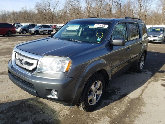 2010 HONDA PILOT EXL 5FNYF4H69AB006819