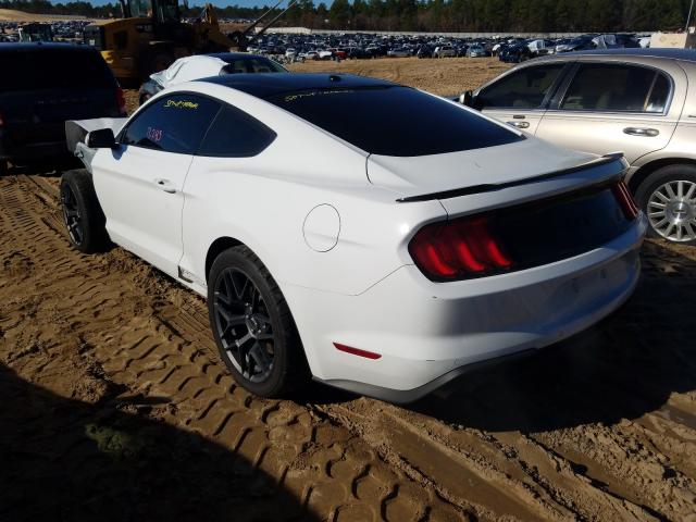 2019 FORD MUSTANG GT 1FA6P8CF6K5124239