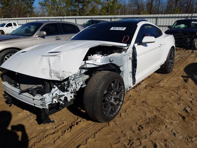 2019 FORD MUSTANG GT 1FA6P8CF6K5124239
