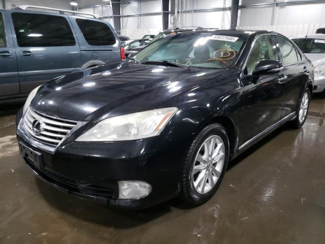 2010 LEXUS ES 350 JTHBK1EG5A2396056