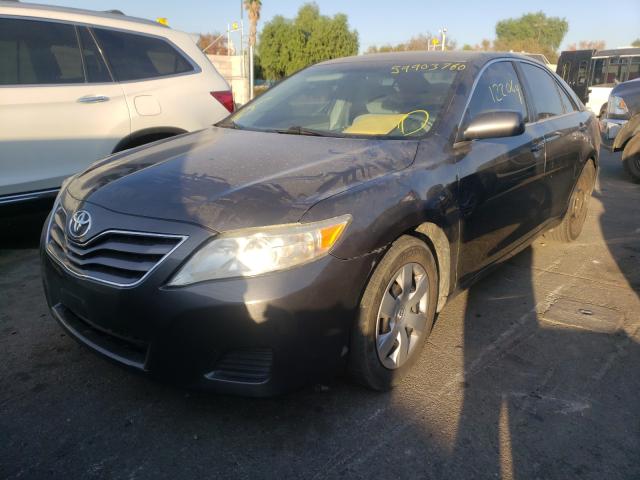 2010 TOYOTA CAMRY BASE - 4T4BF3EK9AR049311