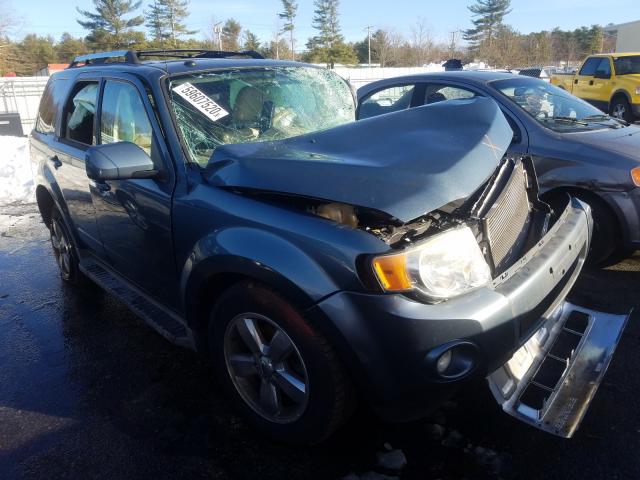 Ford Escape Blue 2010