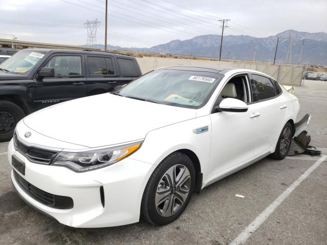 2019 KIA OPTIMA HYB KNAGU4LE3K5031859