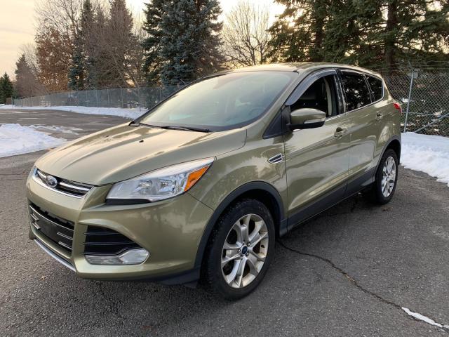 2013 FORD ESCAPE SEL 1FMCU9H94DUA59717