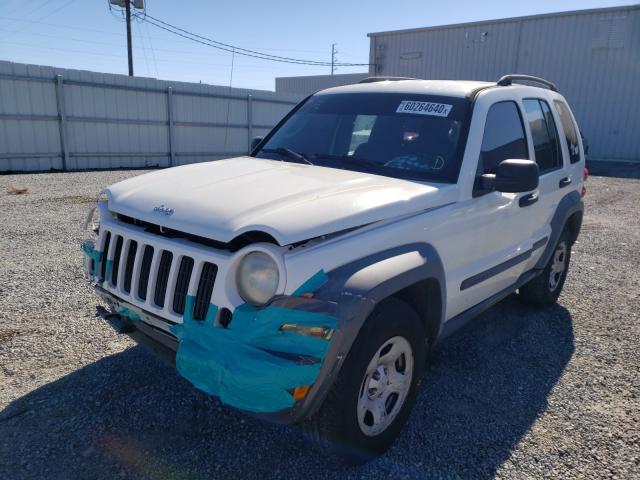 Jeep Liberty камуфляж снежный Барс