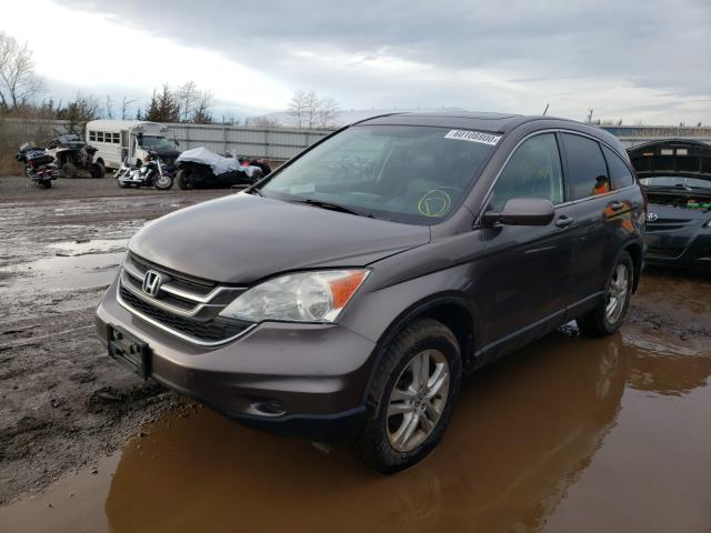 2010 HONDA CR-V 5J6RE4H72AL046599