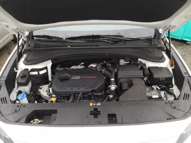 2019 HYUNDAI SANTA FE L 5NMS5CAA7KH118388