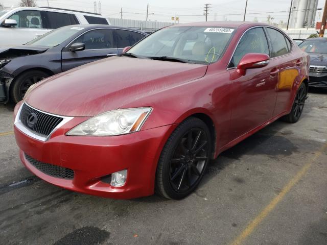 2010 LEXUS IS 250 JTHBF5C28A5128748