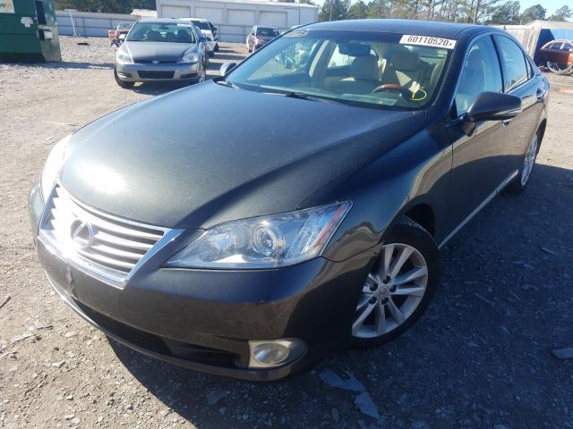2010 LEXUS ES 350 JTHBK1EG8A2348891