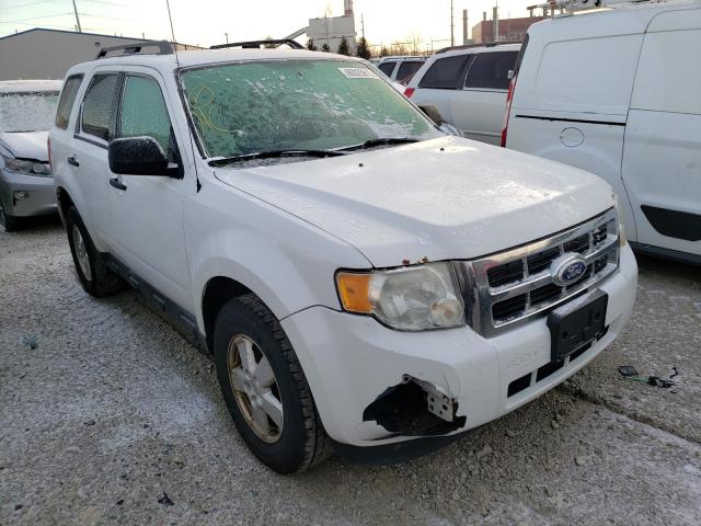 Ford Escape Blue 2010