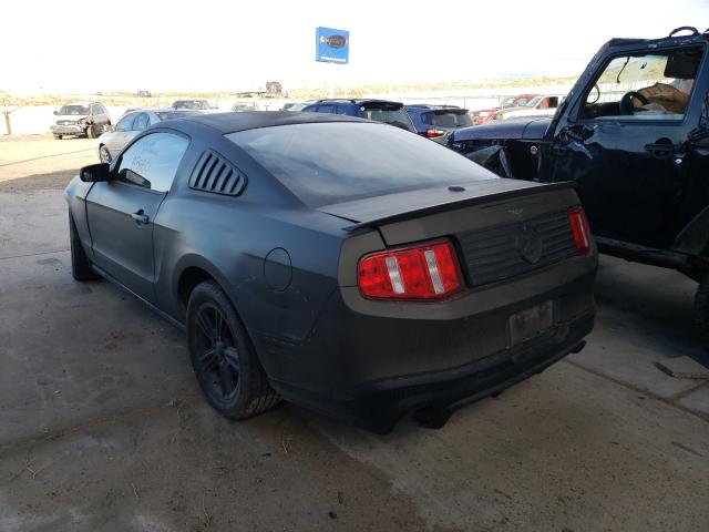 2010 FORD MUSTANG 1ZVBP8AN7A5153151