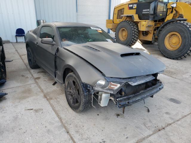 2010 FORD MUSTANG 1ZVBP8AN7A5153151