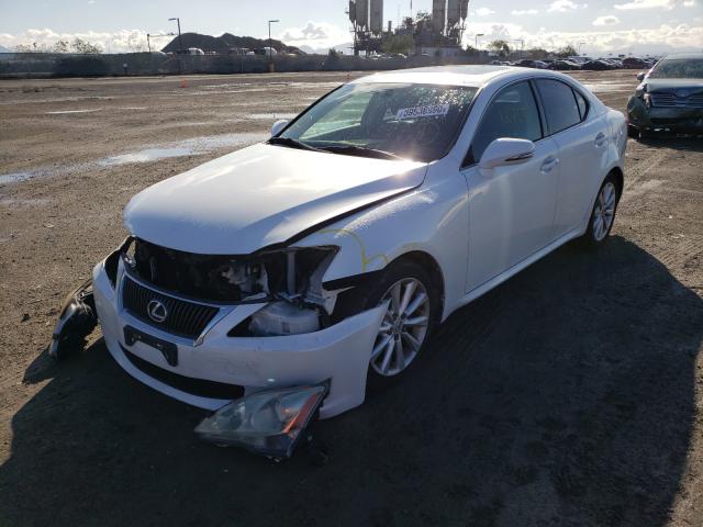 2010 LEXUS IS 250 JTHBF5C2XA5128766