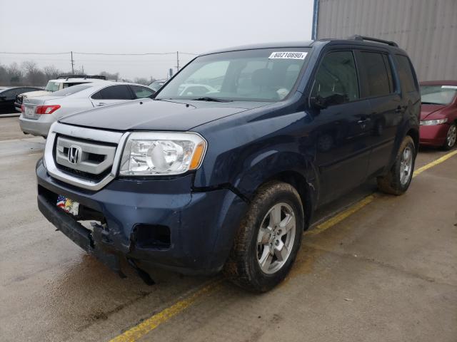 2010 HONDA PILOT EXL 5FNYF4H55AB030042