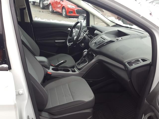 2014 FORD C-MAX SE 1FADP5AU9EL516316