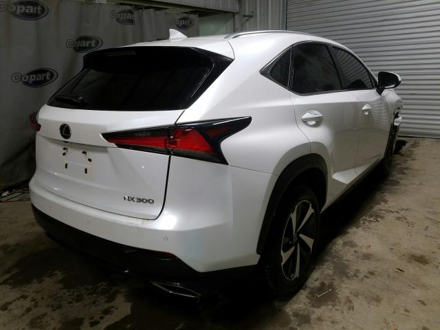 2019 LEXUS NX 300 BAS JTJYARBZ4K2129816