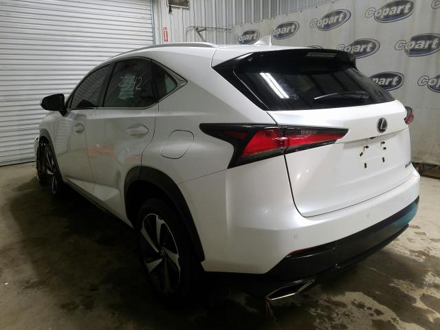 2019 LEXUS NX 300 BAS JTJYARBZ4K2129816