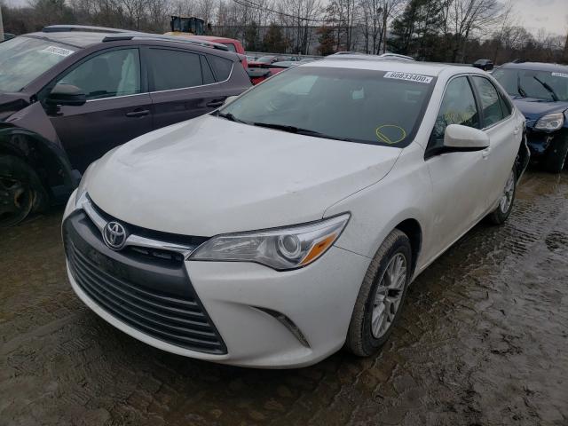 2016 TOYOTA CAMRY LE 4T1BF1FK9GU244556