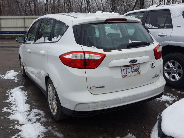 2014 FORD C-MAX SE 1FADP5AU9EL516316