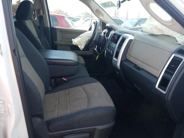 2010 DODGE RAM 1500 1D7RB1GT5AS144307