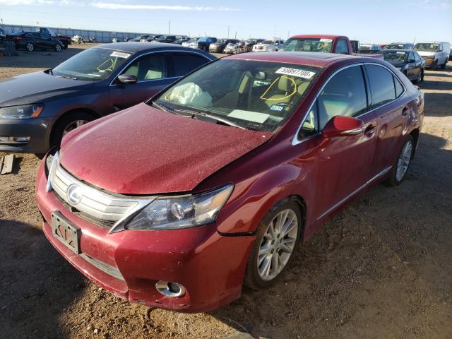 2010 LEXUS HS 250H JTHBB1BA3A2004062