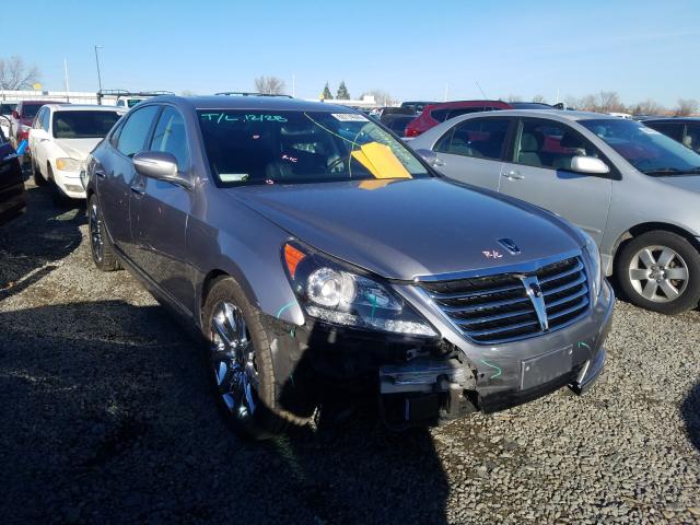 2013 HYUNDAI EQUUS SIGN - KMHGH4JH0DU066027