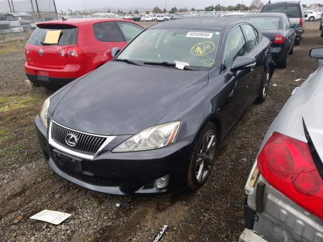 2010 LEXUS IS 250 JTHBF5C21A5114156