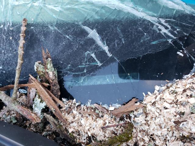 2019 HONDA PILOT LX 5FNYF6H10KB030976