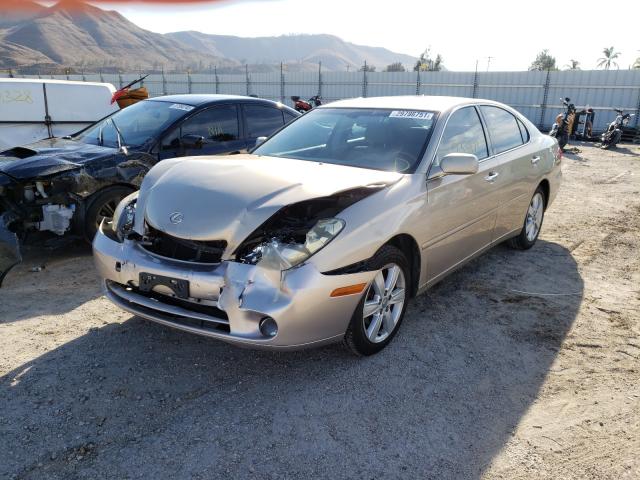 lexus es 2005 vin jthba30g355091505