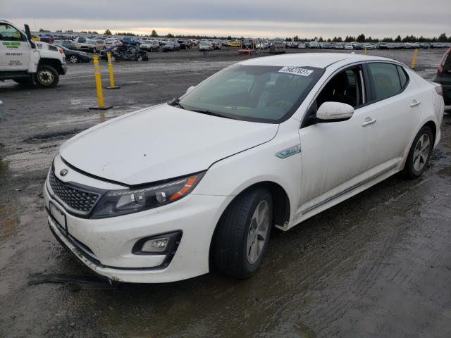 2016 KIA OPTIMA HYB KNAGM4AD6G5096495