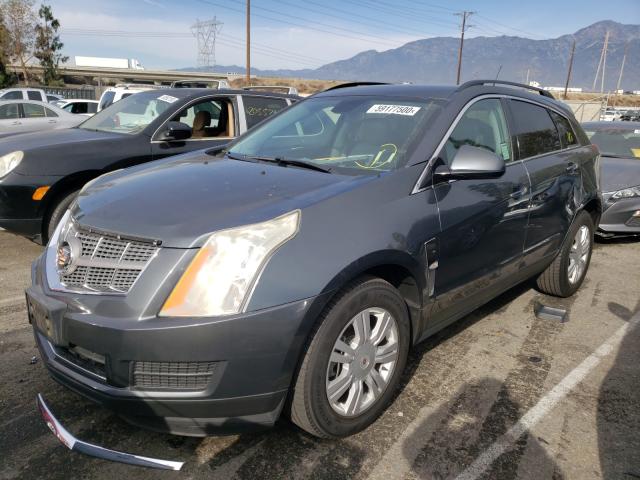 2010 CADILLAC SRX 3GYFNGEYXAS581031